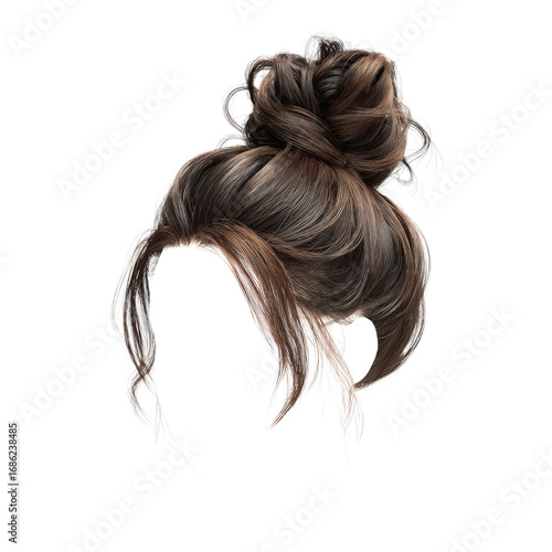 Elegant Brown Hair Bun Hairstyle - Isolated on