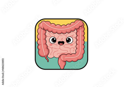 Understanding the human digestive system a journey through the intestines and stomach anatomy