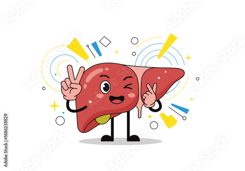 The human liver a vital organ for health and wellness explained