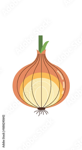 Fresh brown onion vegetable with roots and green sprout.