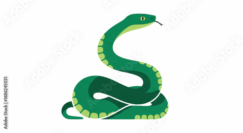 Green snake with tongue out on white background.