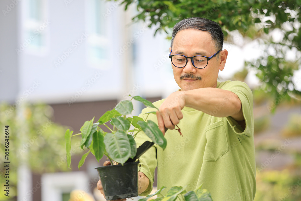 Obraz premium Asian senior man relaxing with gardening potted plants in front yard