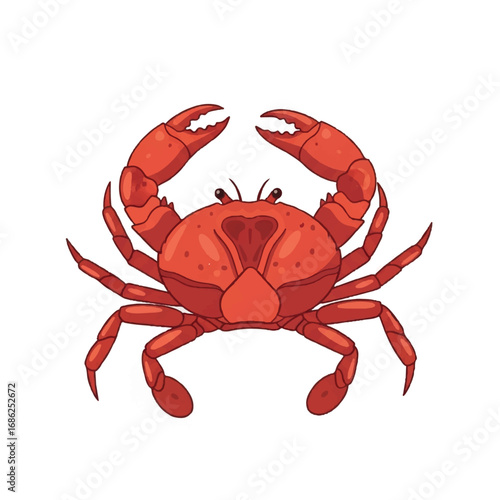 Red Crab Isolated on White Background.