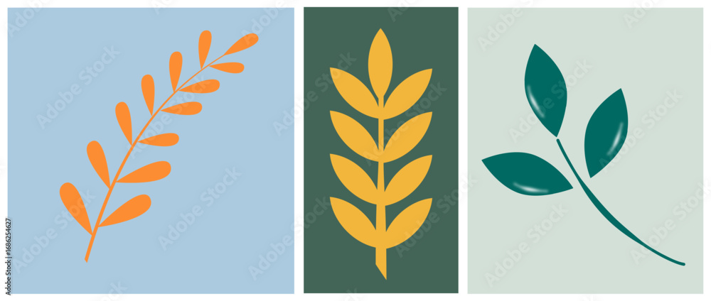 Fototapeta premium Minimalist botanical illustration set with three stylized leaf branches in different colors and backgrounds. 
