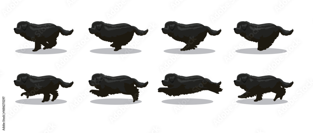 Fototapeta premium Newfoundland Running Side Cartoon Animation Frame Vector
