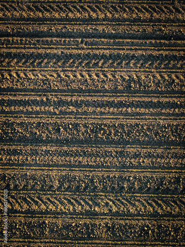 detail of thai temple roof