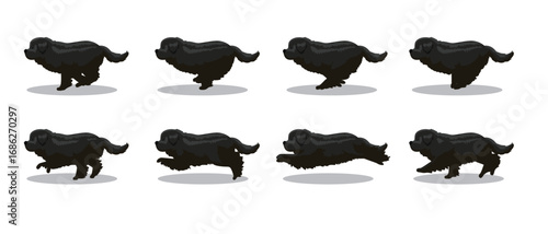 Newfoundland Running Side Cartoon Animation Frame Vector
