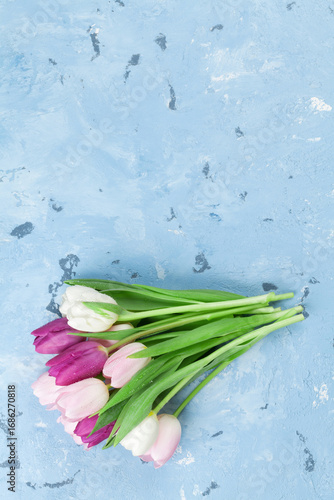 spring onions and radish