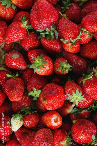 fresh strawberries in the market