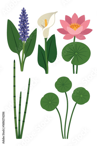 Tropical Exotic Flowers Edition #10—Horsetail, Calla Lily, Pennywort, Waterlily, and Pickerel Weed. Vector Illustration. Design Element. Clip art. Suitable for artwork design. Editable for any design.