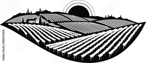 Illustration of a vineyard with rolling hills and a rising sun, showcasing a serene agricultural landscape