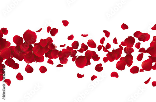 Red rose petals cascading against a black background