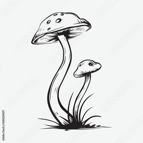 Mushroom Sign Symbol Vintage Graphic Icon Symbol, Mushroom Drawn Minimalist Simple Silhouette Art