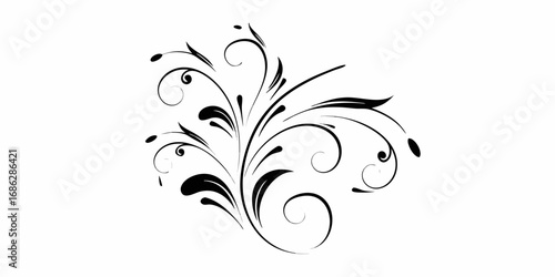 Elegant black flourish swirls and leaves on white background