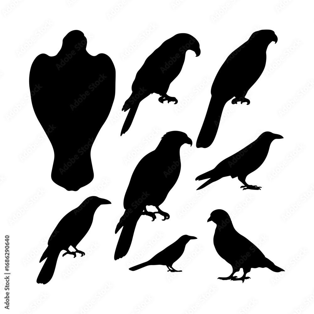 Naklejka premium Silhouette illustration of multiple birds including crows and hawks in various poses on white background