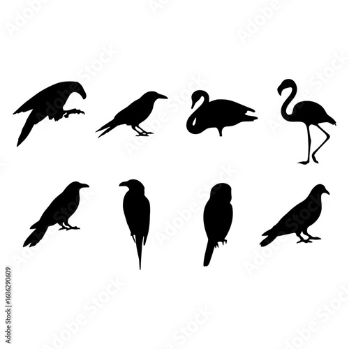 Silhouette collection featuring various bird species including crow swan flamingo and pigeon in black