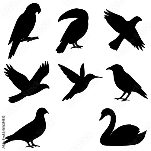 Collection of bird silhouettes including a parrot toucan eagle hummingbird crow pigeon and swan in black