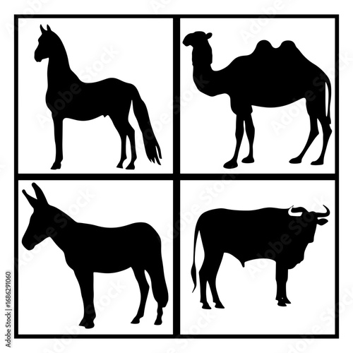 Silhouette illustration of horse camel donkey and bull in a square divided into four equal sections