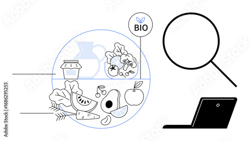 Fresh fruits, vegetables, grains, and jars in a circle labeled BIO beside a magnifying glass and laptop. Ideal for organic farming, product quality, sustainability, research, food safety data