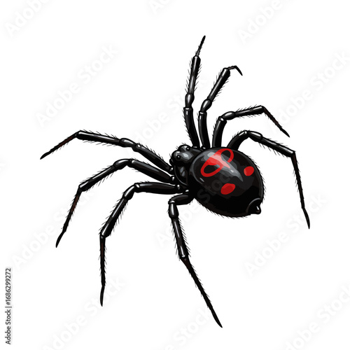 Detailed digital illustration of a venomous Black Widow spider, featuring a glossy black body and the iconic red hourglass marking on its abdomen
