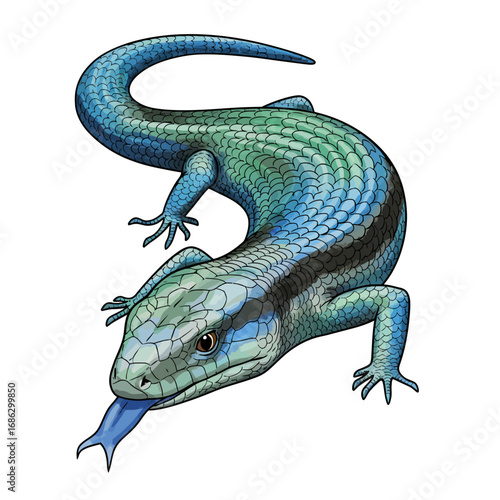 Detailed vector illustration of a vibrant blue-tongued skink, a unique scaly reptile with its characteristic blue forked tongue extended