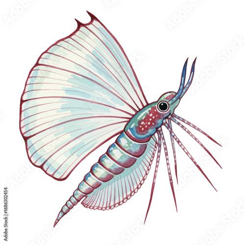 Lifelike watercolor vector illustration of Marrella, an extinct marine arthropod from the Cambrian period, depicted for paleontological and scientific study