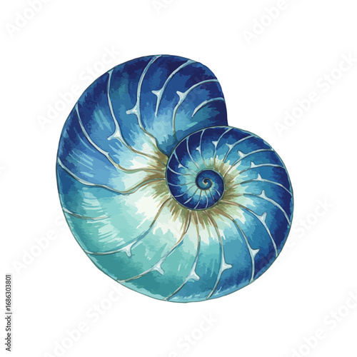 A beautiful watercolor vector illustration of a chambered nautilus shell, detailed with blue and azure stripes in a perfect logarithmic spiral design