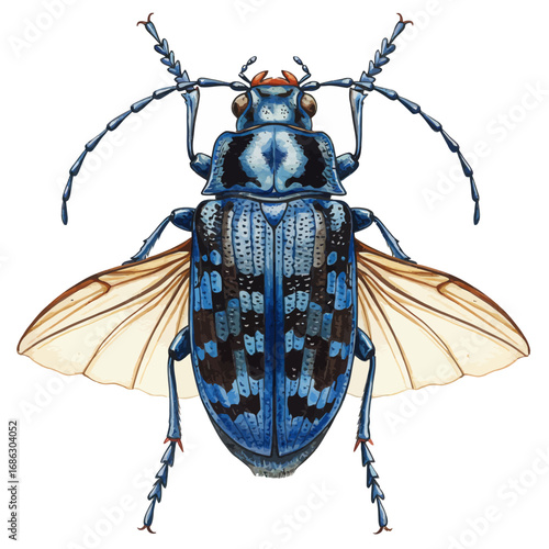 A detailed watercolor vector illustration of a vibrant blue checkered beetle with its intricate wings spread open, isolated on a white background