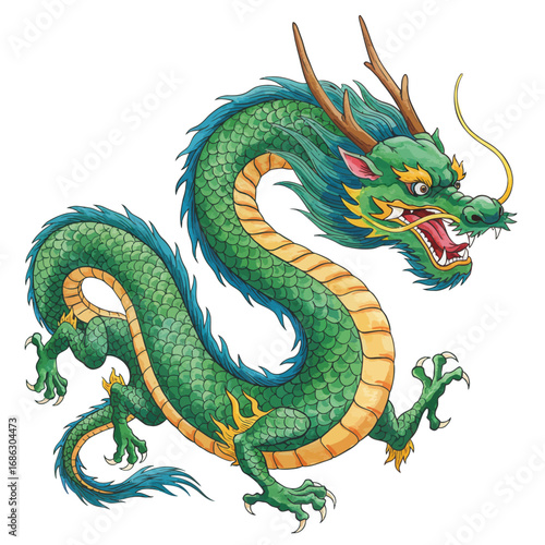 Detailed watercolor vector illustration of a majestic green Chinese dragon, a powerful mythical creature from Asian folklore, isolated on a white background