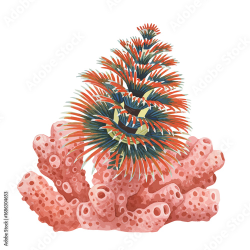 A beautiful watercolor vector illustration of a Spirobranchus giganteus, the Christmas tree worm, living in a vibrant pink porous coral