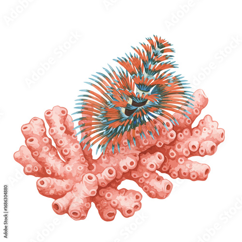 A vibrant watercolor vector illustration of a Christmas tree worm on pink coral, isolated on a white background. Detailed marine life art