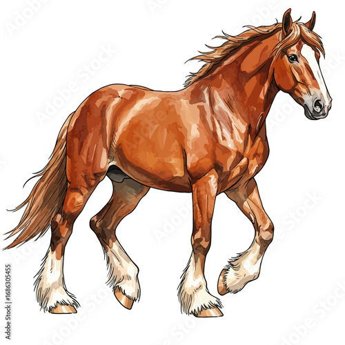 Beautiful watercolor vector illustration of a powerful chestnut draft horse trotting with flowing mane, isolated on a white background