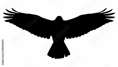 Silhouette of a bird with outstretched wings against a white background in a minimalist style image