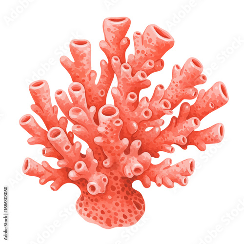 Detailed watercolor vector illustration of a vibrant red coral polyp colony. An isolated close-up of marine invertebrate life on a white background