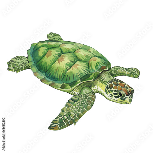 Watercolor illustration of a majestic green sea turtle swimming gracefully, detailed hand-drawn marine reptile isolated on a solid white background