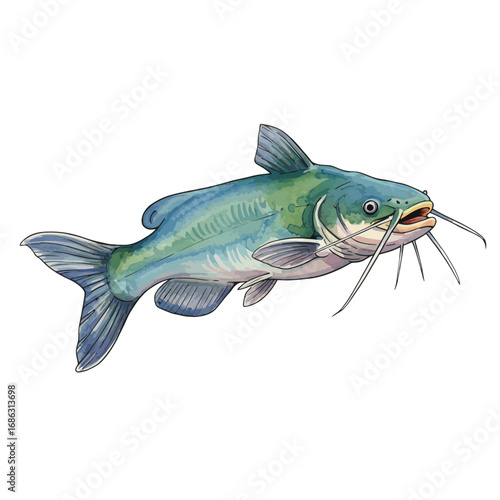 Detailed watercolor vector illustration of a freshwater channel catfish, showcasing its blue-green scales and long barbels, isolated on a white background