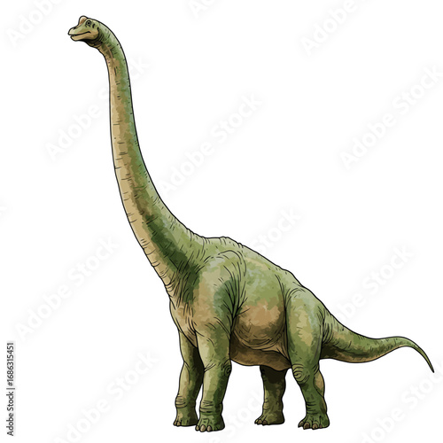 Watercolor vector image of a majestic Brachiosaurus, a giant sauropod dinosaur from the Jurassic period, standing tall on a clean white background
