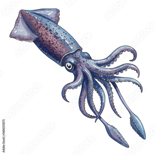Detailed vector illustration of a giant squid with purple skin. This marine animal is shown with its long tentacles in a watercolor style, isolated on white
