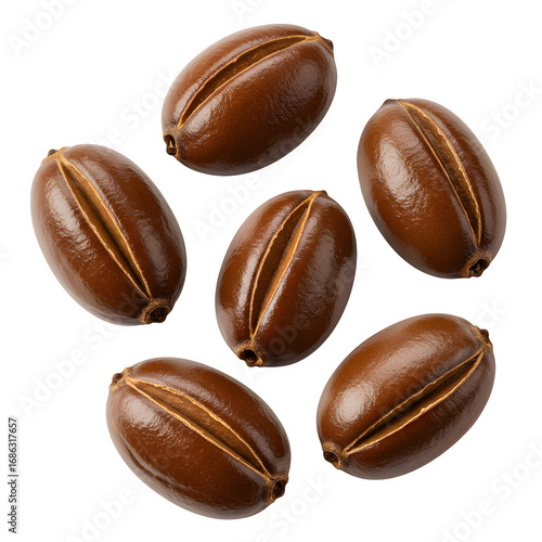 Glossy brown jojoba seeds, natural organic ingredient for food, skincare, and wellness products. Isolated on white or transparent background. PNG format.