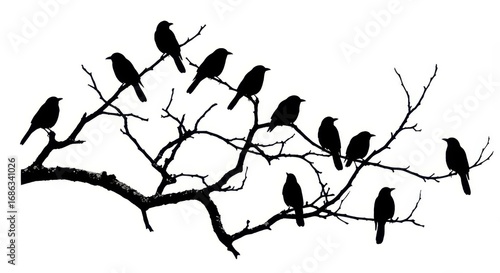 Silhouettes of birds perched on bare tree branches, a peaceful and somber scene.