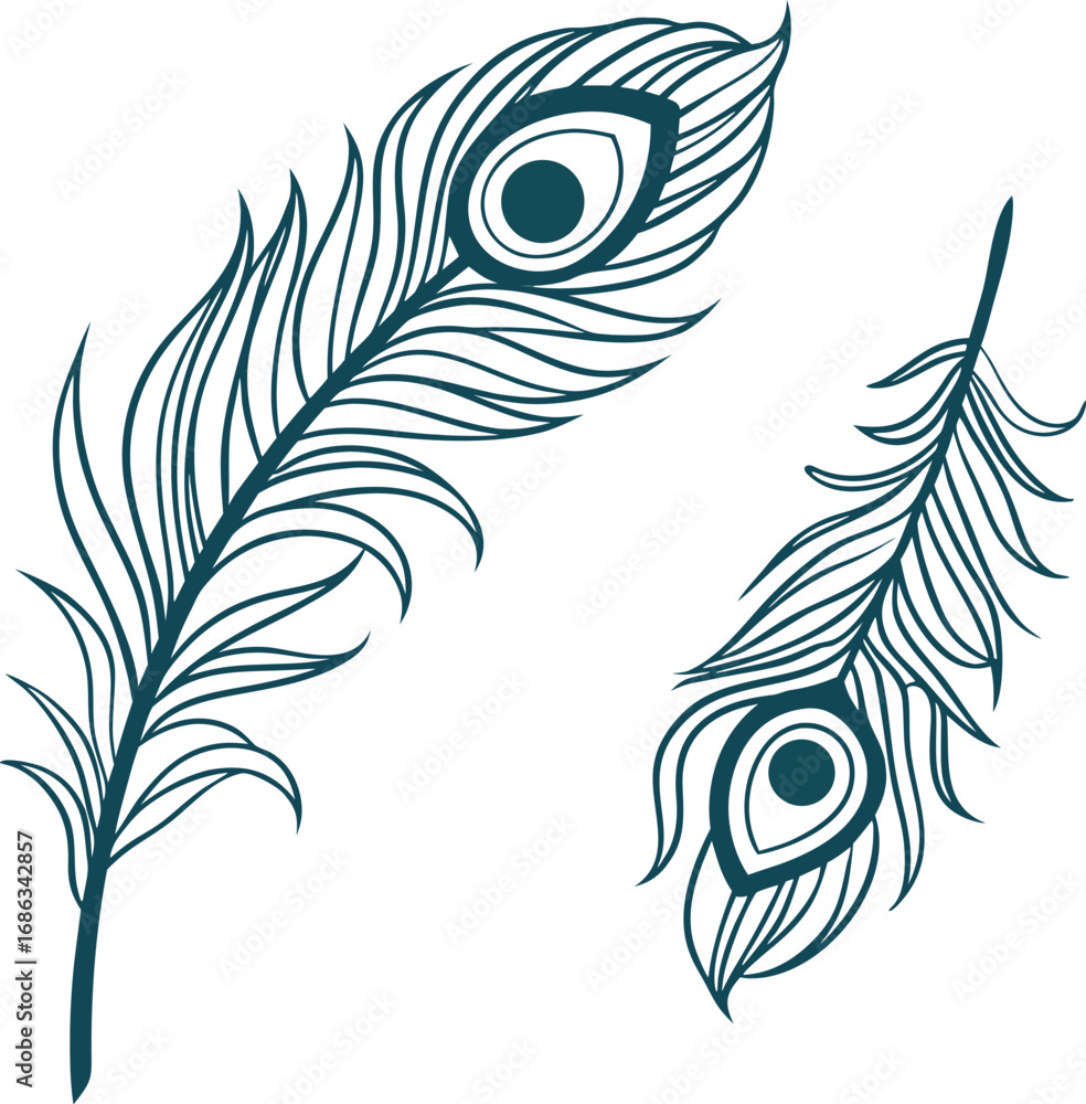 Obraz premium Peacock fan vector