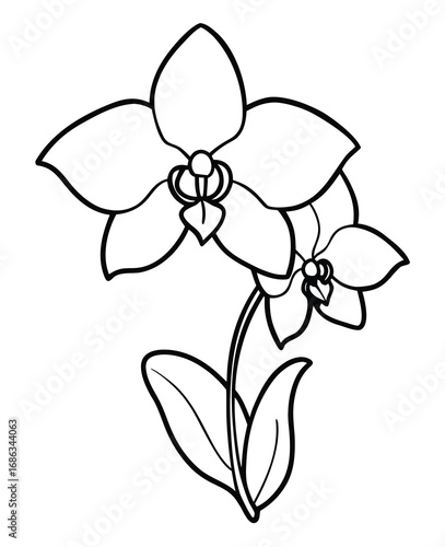 Elegant orchid flower line art illustration for coloring books or print design