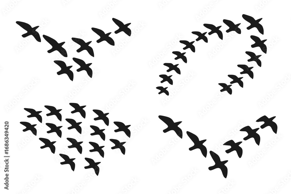 Naklejka premium Flock of birds flying in formation silhouette set. Bird migration concept. Group of birds in flight. Teamwork and unity symbol. Vector illustration collection isolated on white.