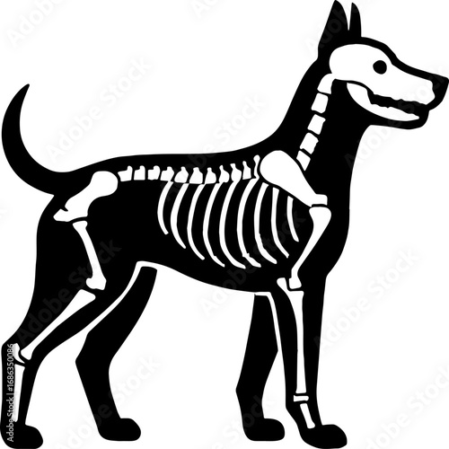 Dog with Visible Ribcage and Spine - Animal Anatomy Silhouette