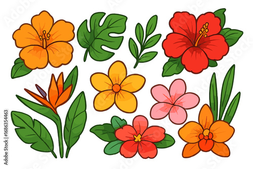 Set of colorful tropical flowers and leaves. Vector cartoon illustration collection with hibiscus, plumeria, bird of paradise, monstera leaf. Isolated floral design elements.
