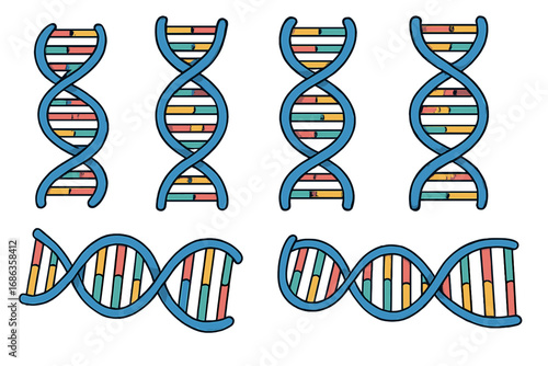Set of DNA double helix vector illustrations. Hand-drawn science icons for genetics, biology, and medicine. Molecular structure, gene code, and chromosome concept design.