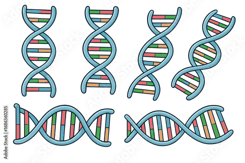 DNA double helix structure set. Vector illustration of genetic molecule. Biology science concept. Gene, chromosome, chemistry, biotechnology, and medicine icons. Cartoon style.