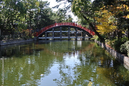 japanese garden with bridge