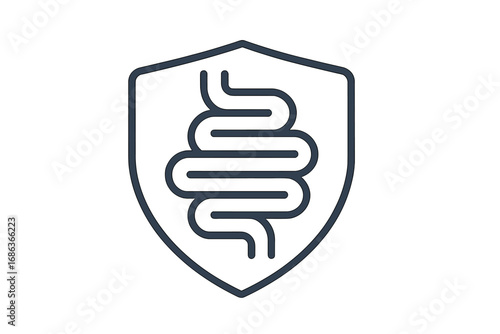 Gut health protection shield icon. Intestine care and digestive system defense concept. Stomach and colon guard for probiotics and microbiome balance. Medical vector line art.