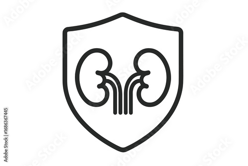 Kidneys protection shield icon. Organ health care medical concept. Urology, nephrology logotype. Human internal organ diseases treatment. Dialysis awareness symbol. Vector outline.